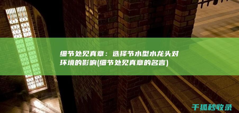 细节处见真章：选择节水型水龙头对环境的影响 (细节处见真章的名言)