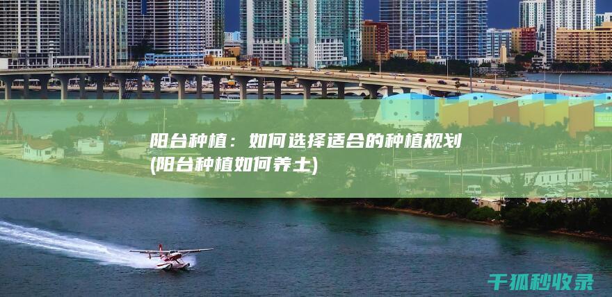阳台种植：如何选择适合的种植规划 (阳台种植如何养土)