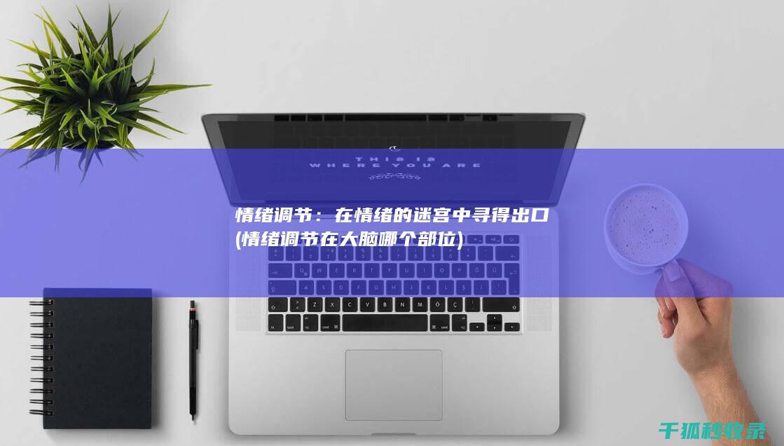 情绪调节：在情绪的迷宫中寻得出口 (情绪调节在大脑哪个部位)