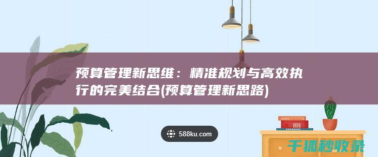 预算管理新思维：精准规划与高效执行的完美结合 (预算管理新思路)