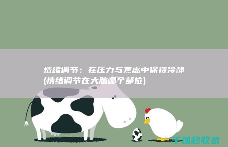 情绪调节：在压力与焦虑中保持冷静 (情绪调节在大脑哪个部位)