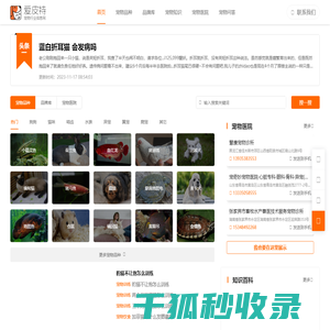 爱宠网您身边养宠指导网