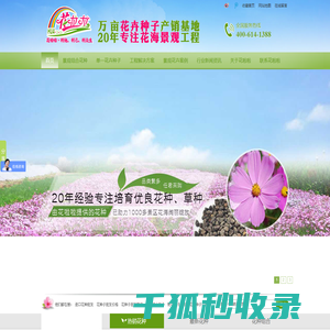 花卉种子批发,景观花种批发,花卉种子销售